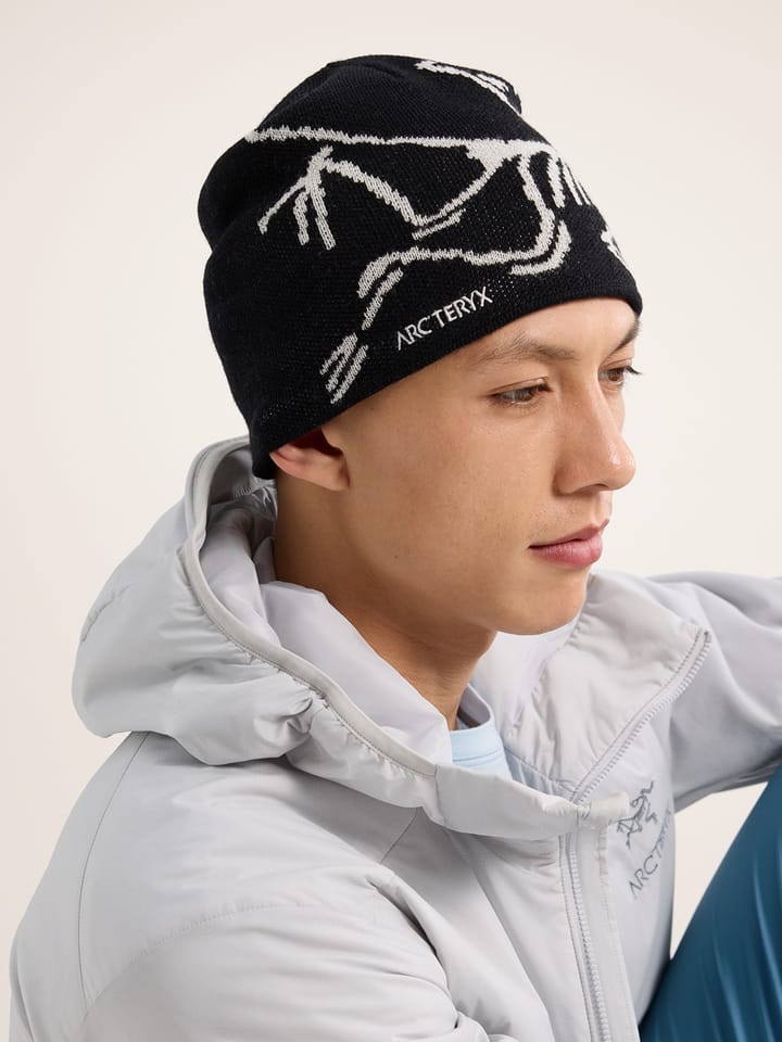 ARC'TERYXBird Head Toque Color:Orca